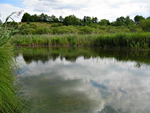 RNR marais de Bonnefont