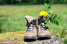 chaussures randos