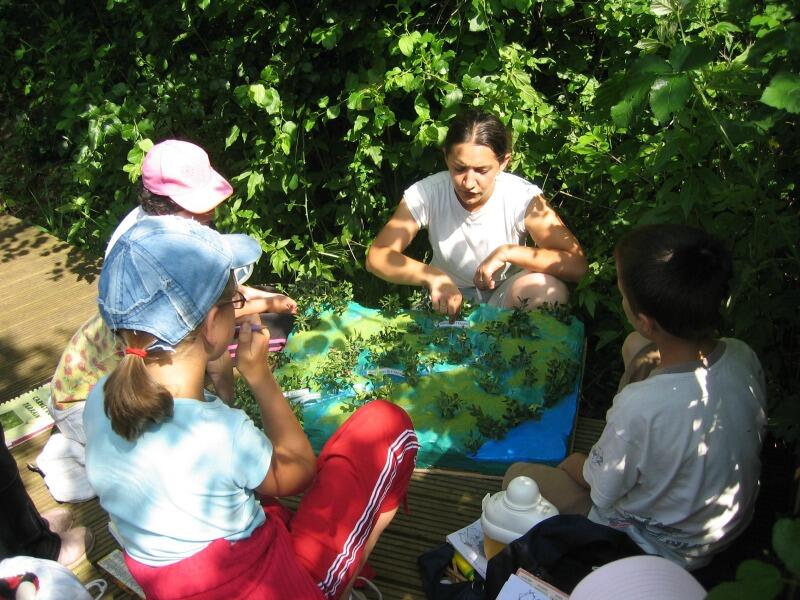 activités buissonnières