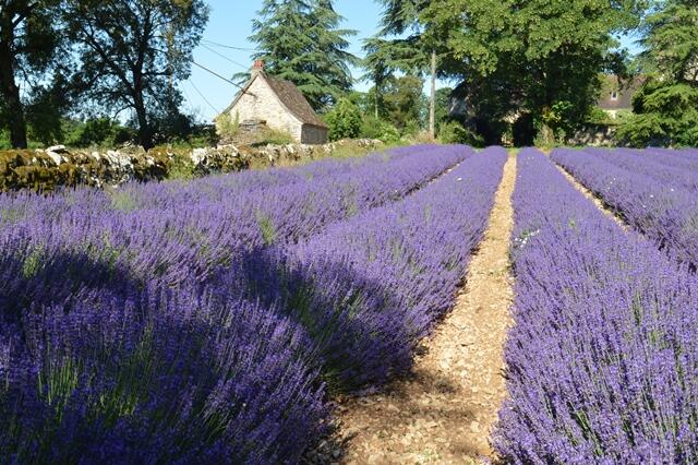 Ferme des Alix - Rocamadour 1 OK
