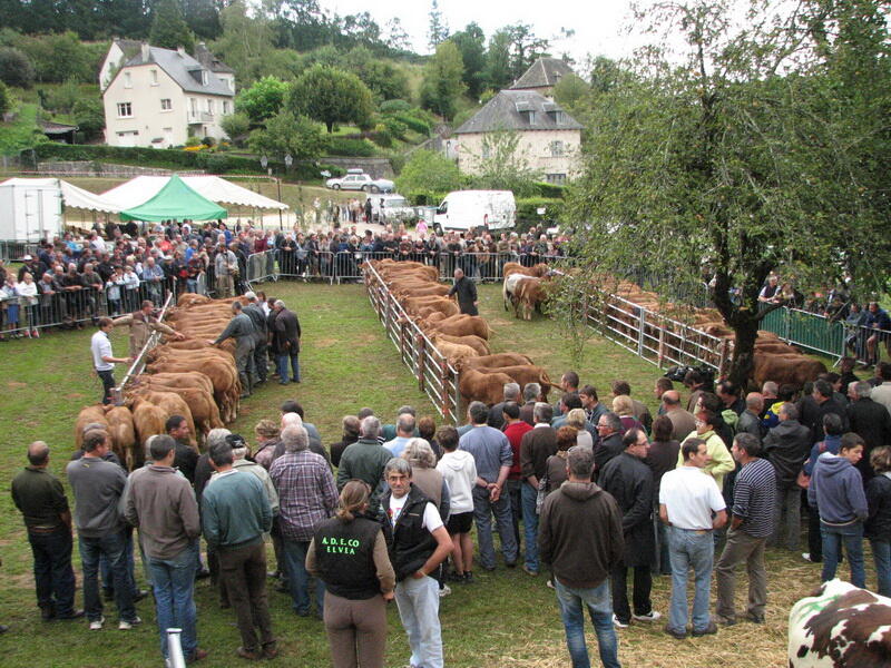 Fête du veau
