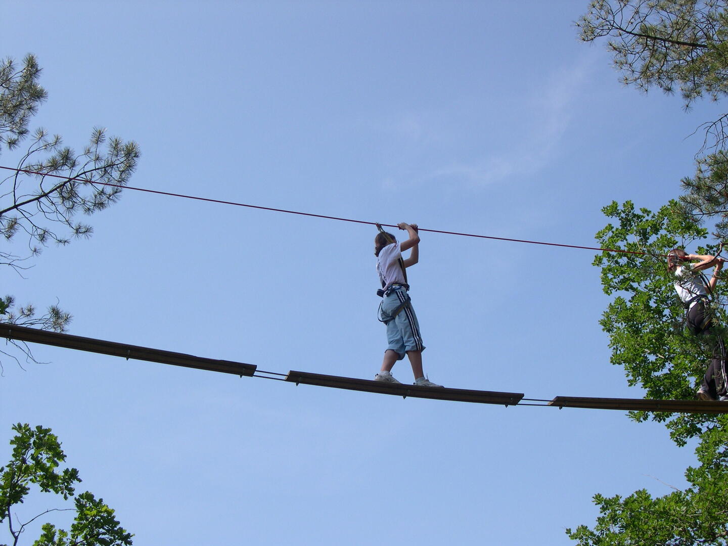 Foret des ecureuils Aventurier 1