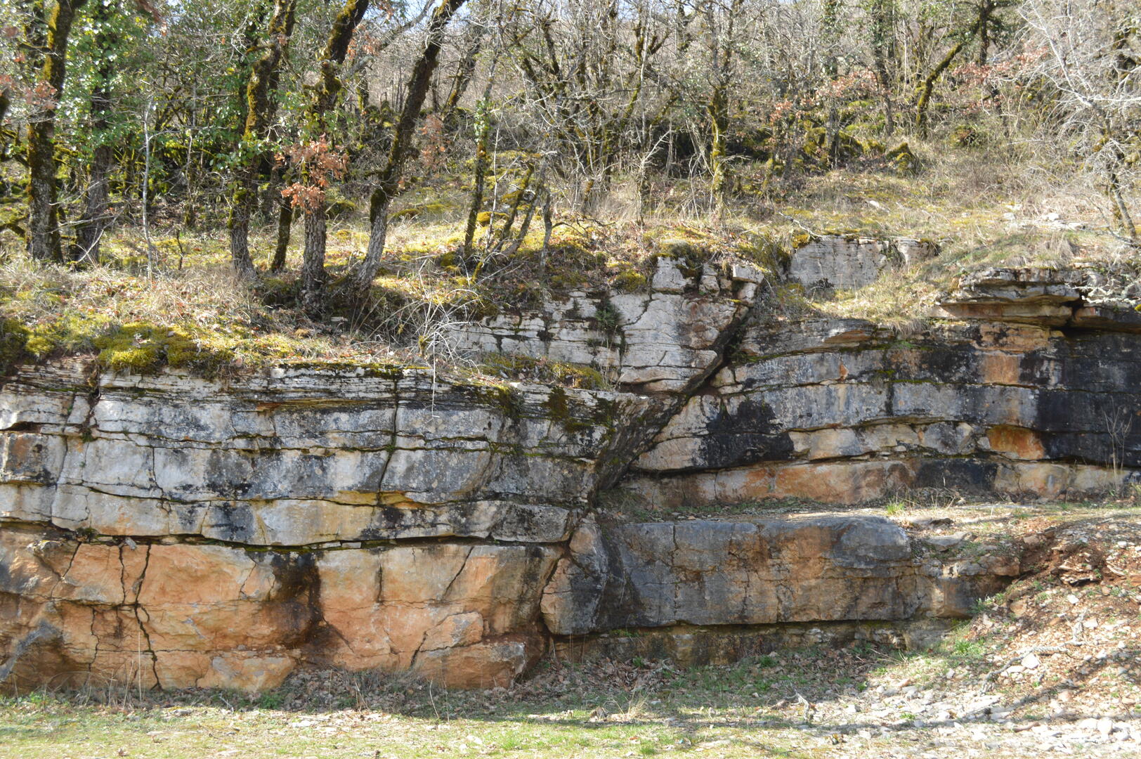 Formation-geol3-Pmonniaux