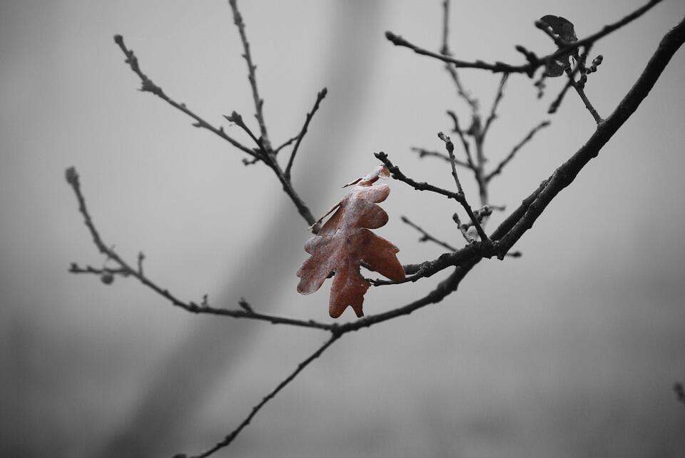 Hiver