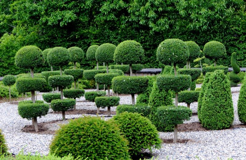 Jardins Sothys_Constellation