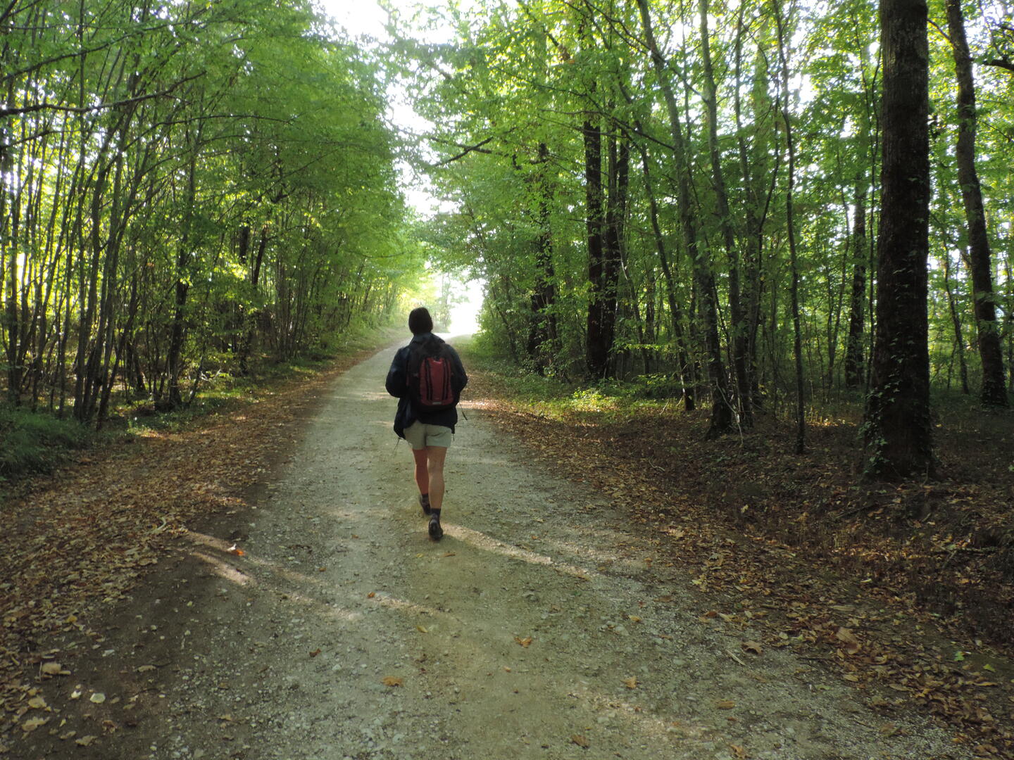 Joli chemin, motivant©M.Légeron