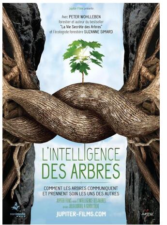 L'intelligence des arbres