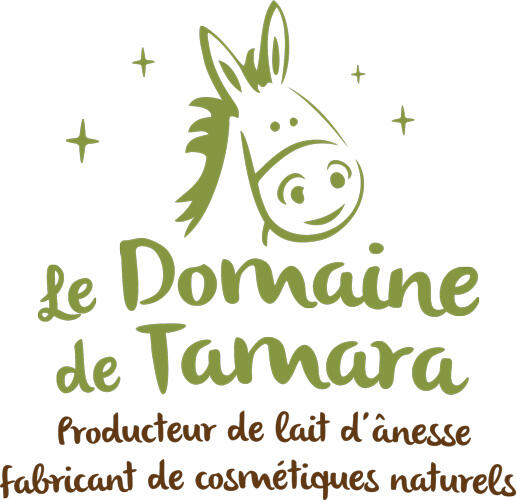 LOGO DDT