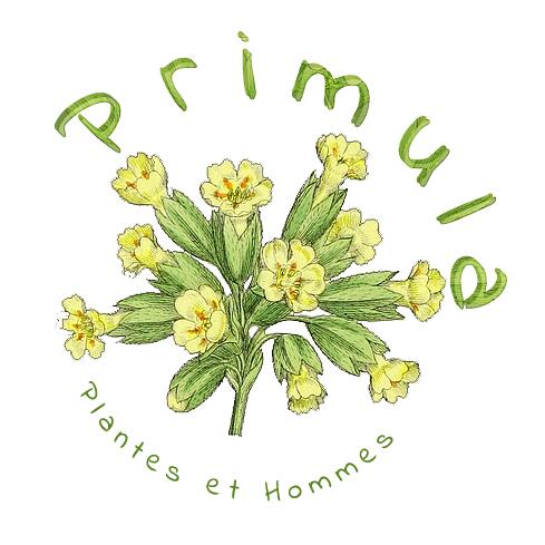LOGO Primula blanc