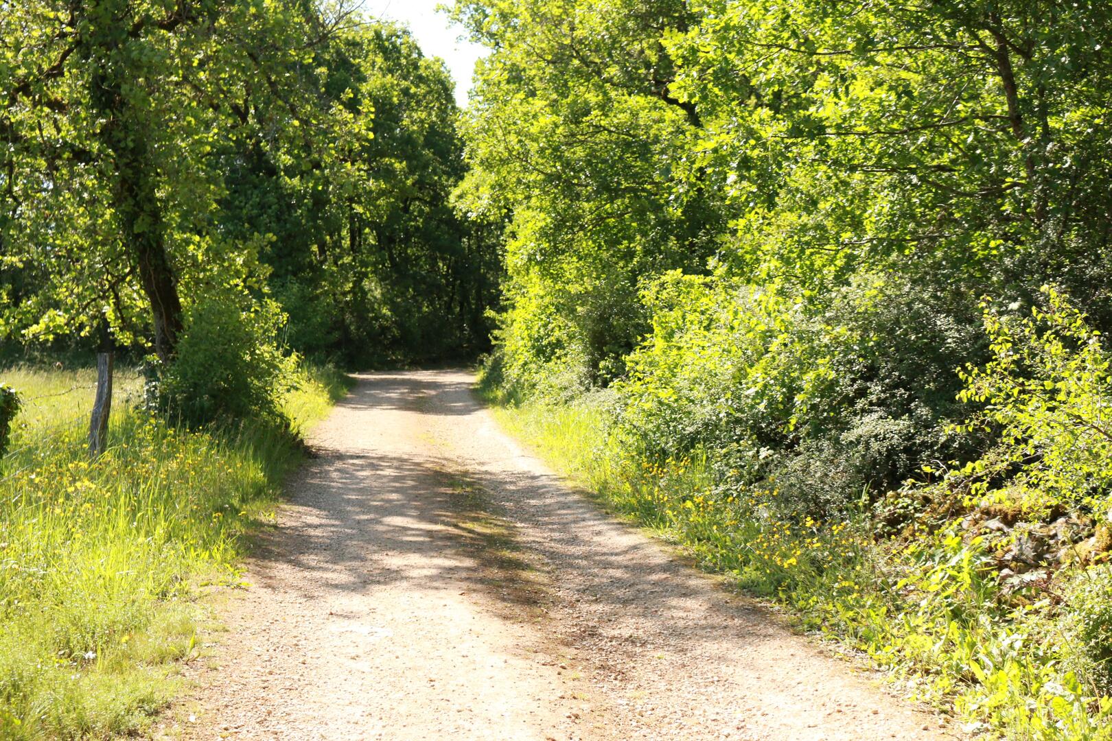 La végétation au printemps©M.Légeron
