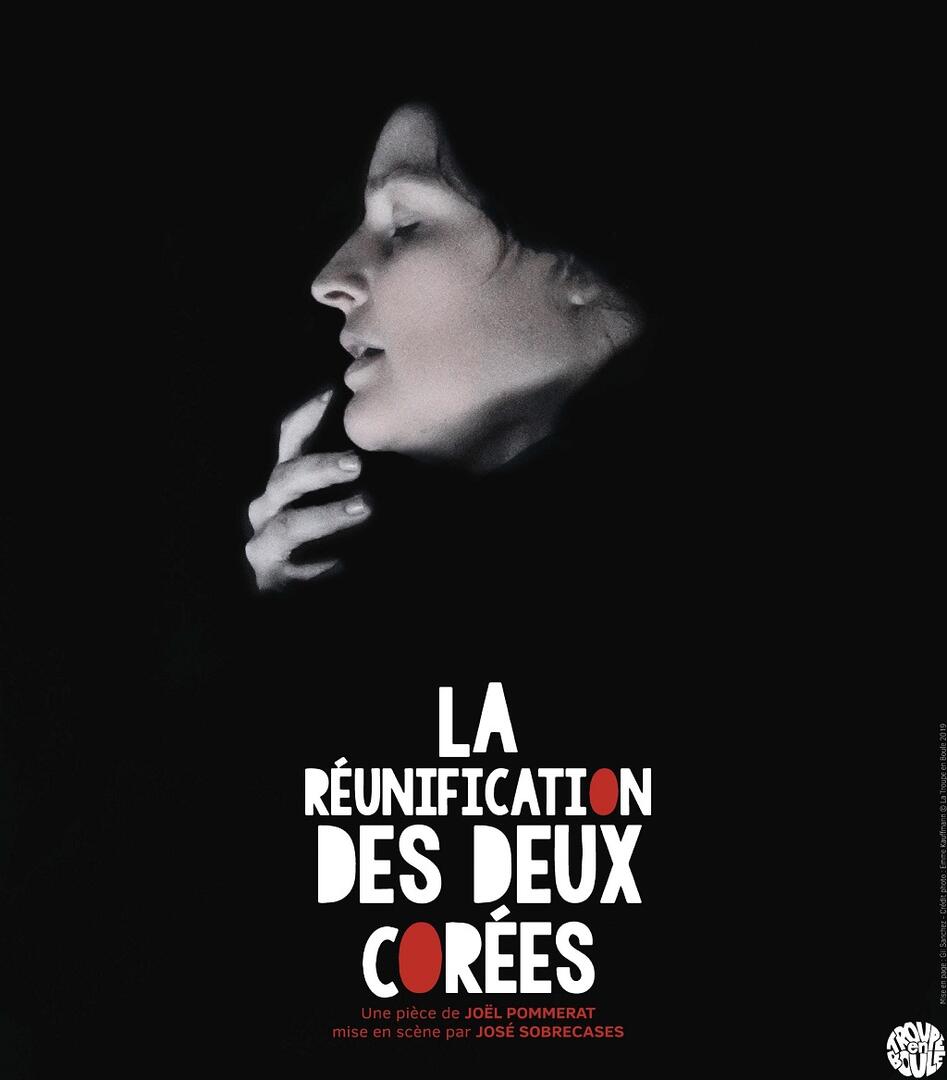 La-Reunification-des-deux-Corees---Visuel