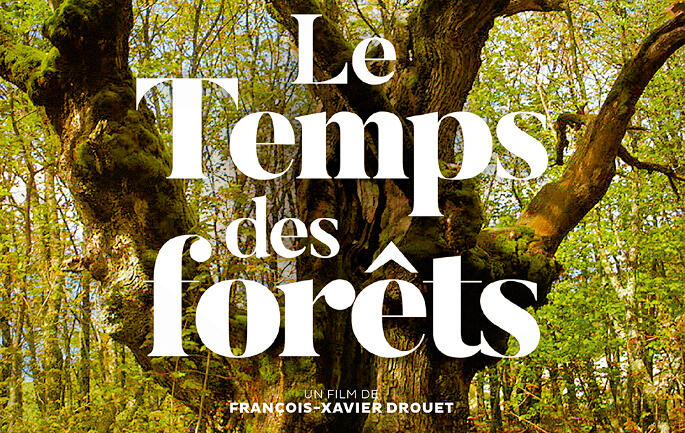 Le-temps-des-forêts