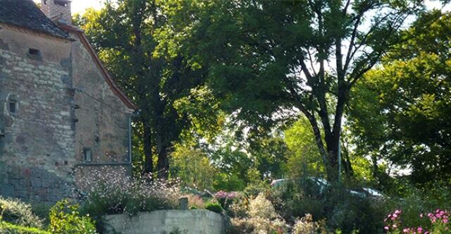 Le jardin du Bos Mayrinhac-Lentour