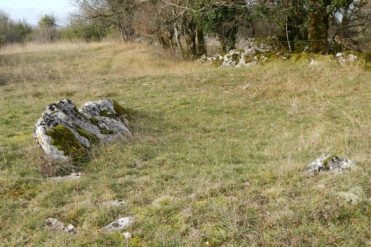Lou Balade - Loubressac