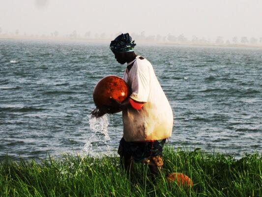 Maraichage au Mali