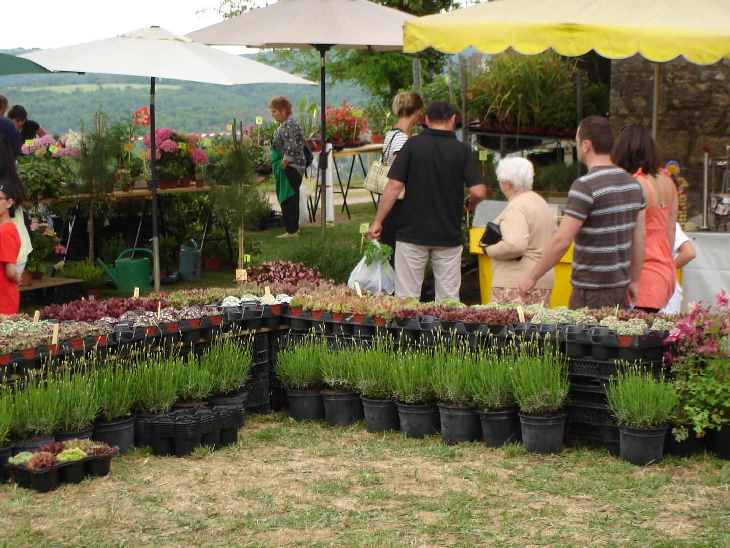 Marché aux fleurs 004