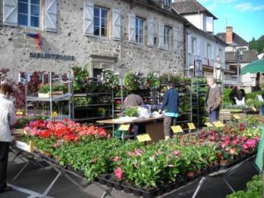 Marché aux plants
