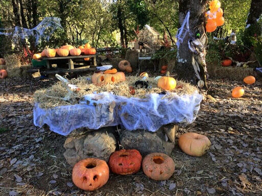 MerleHalloween