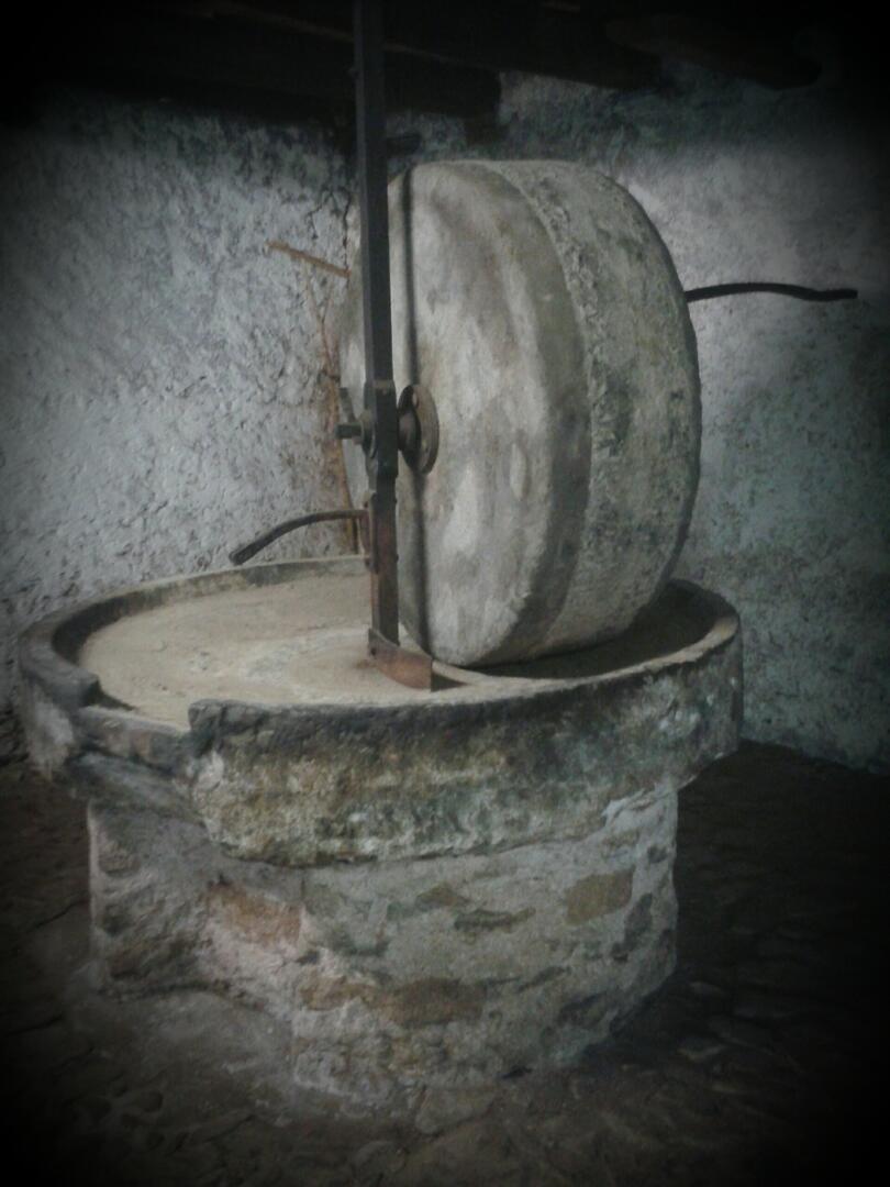 Moulin huile de noix