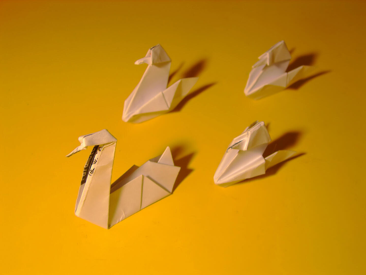Origami_05426