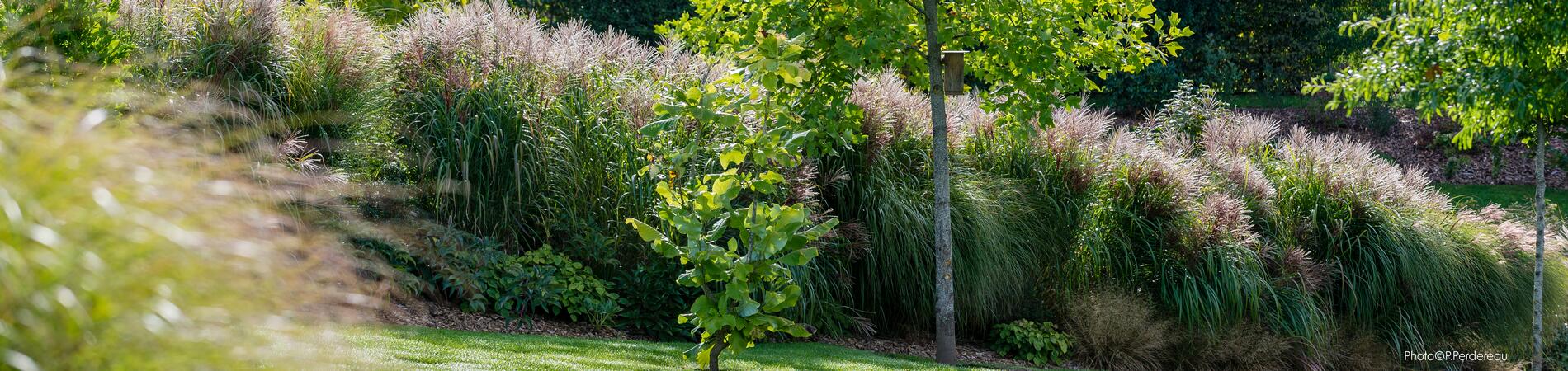 PHOTOS-JARDINS-SELECTION-7-2015-PERDERAU-PHOTOGRAPHY