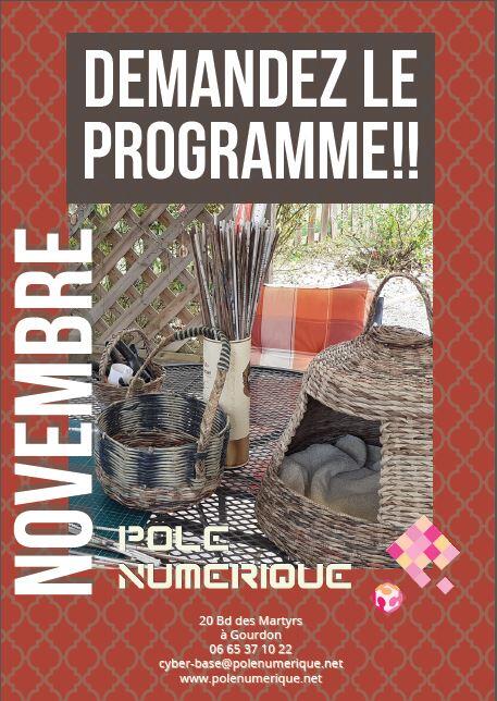 Pôle numérique Novembre 20201