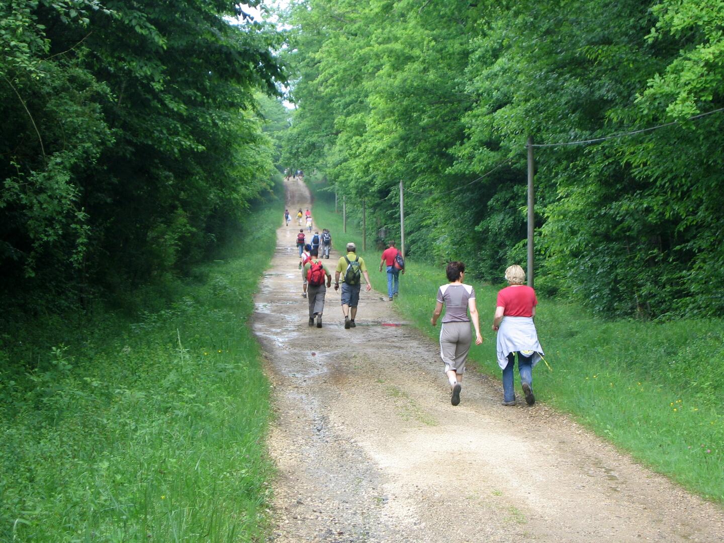 Randonnée_ESD_2009_-_en_se_rendant_à_Champdoux