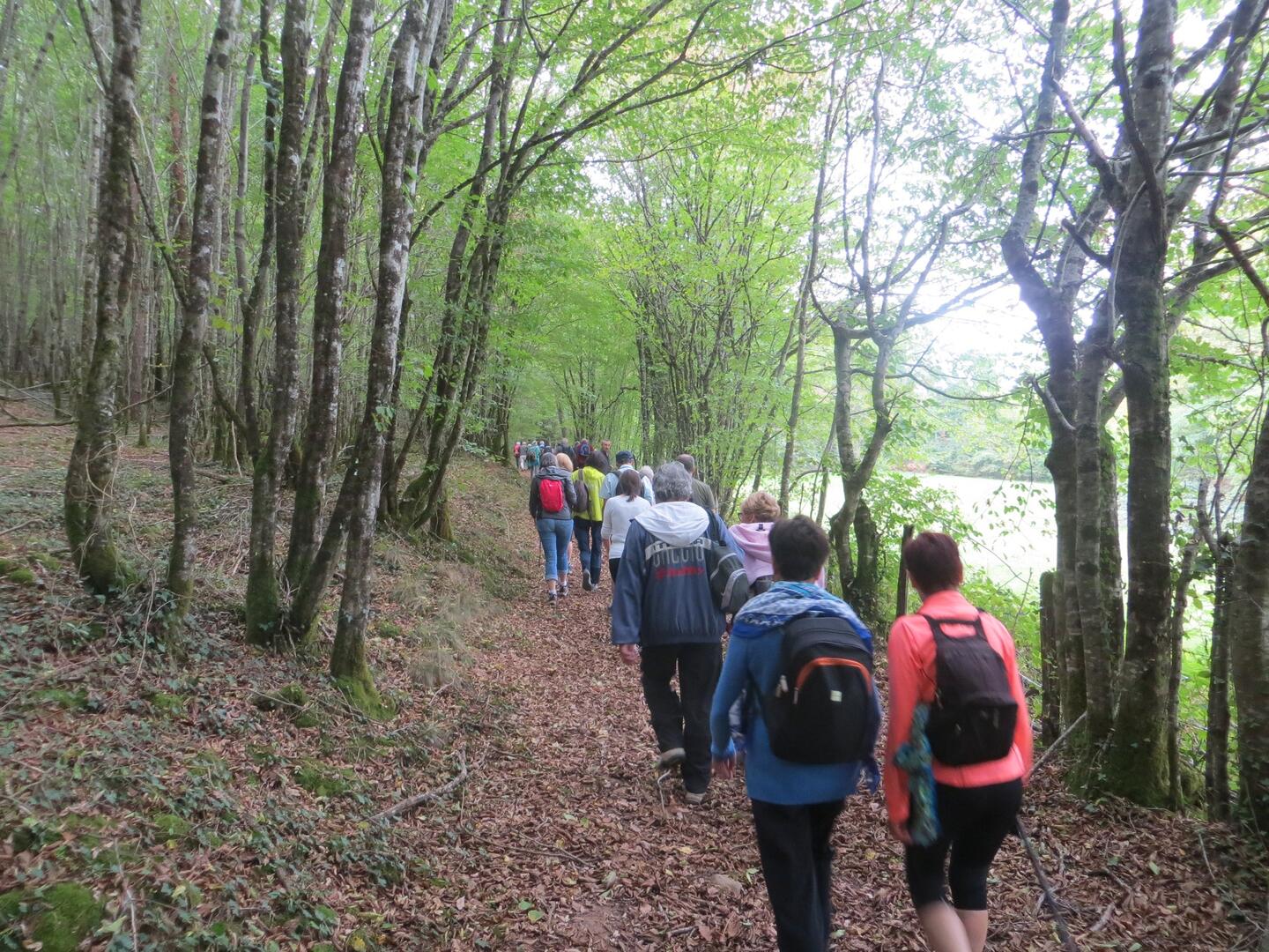 Randonneurs-de-Curemonte