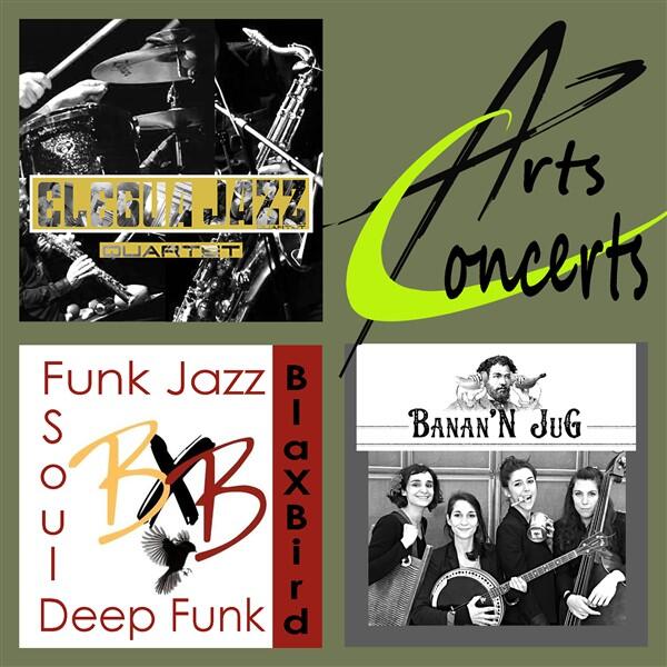 Samedi Jazz varie Festivarts
