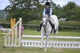 Saut d'obstacles