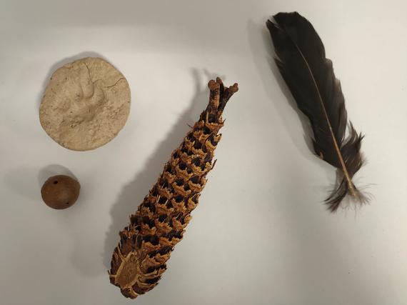 Sortie-Balade-sur-les-traces-et-indices-de-presence-des-animaux_image_w_570