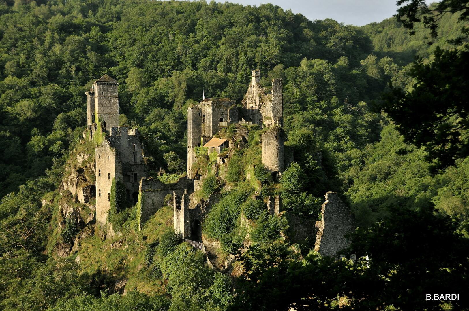 Les Tours de Merle
