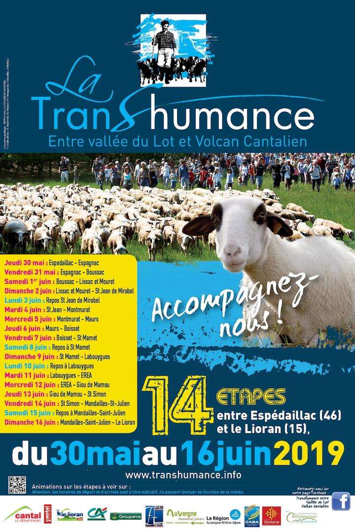 Transhumance Volcan Cantalien 2019 2