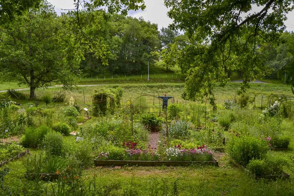 Vide-jardin-Jardin-Bourian