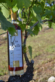 Vignes et vergers