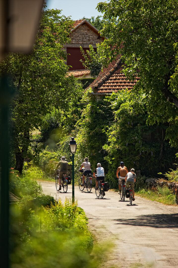Visites estivales vélos@D; Viet