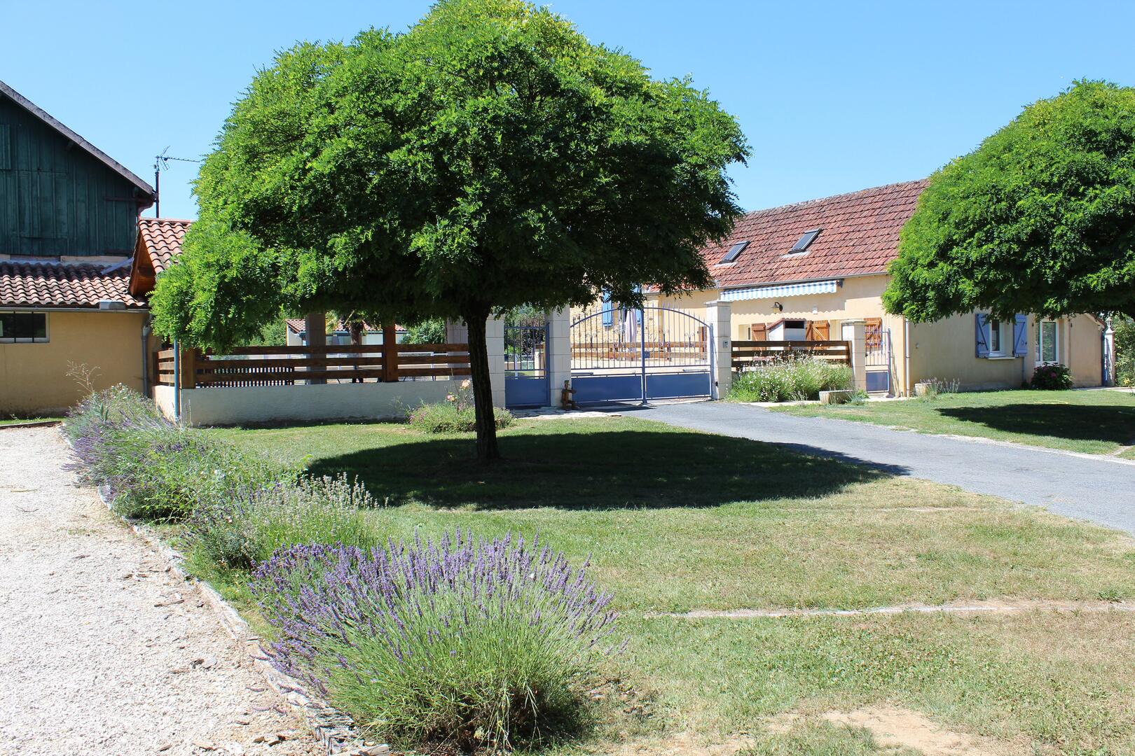 Terrain de pétanque
