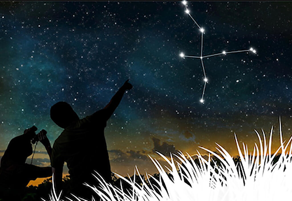 alelier-hirondelles-soiree-sous-etoiles