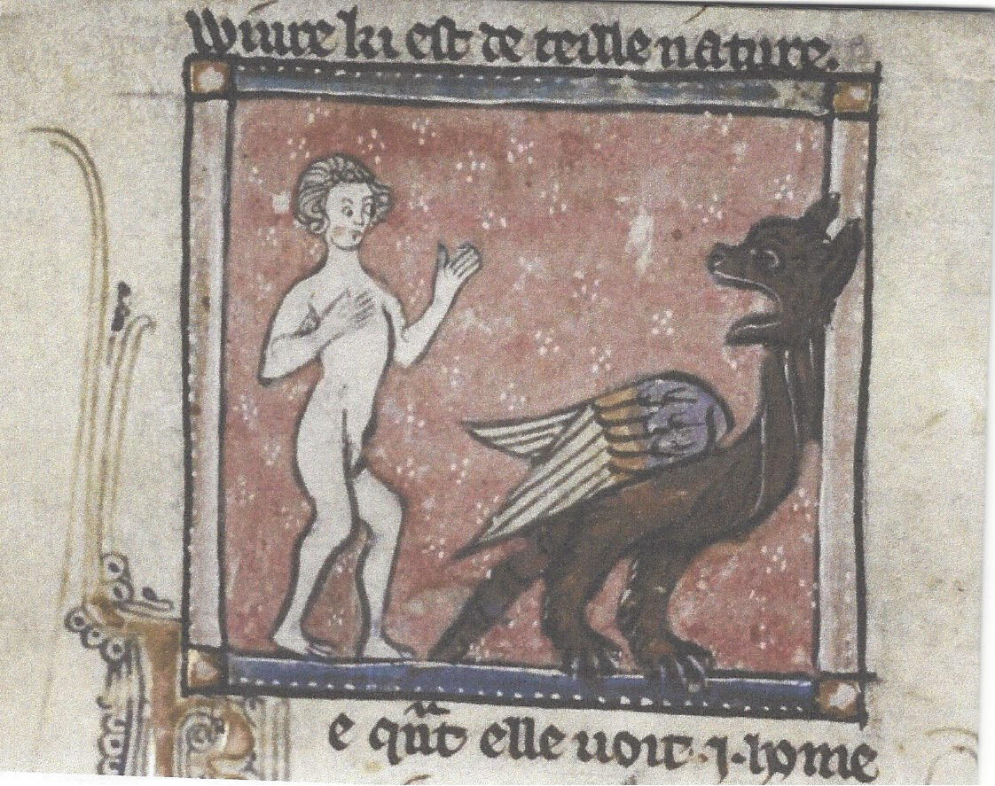 amismuseeraymondie-bestiaire médieval-050518