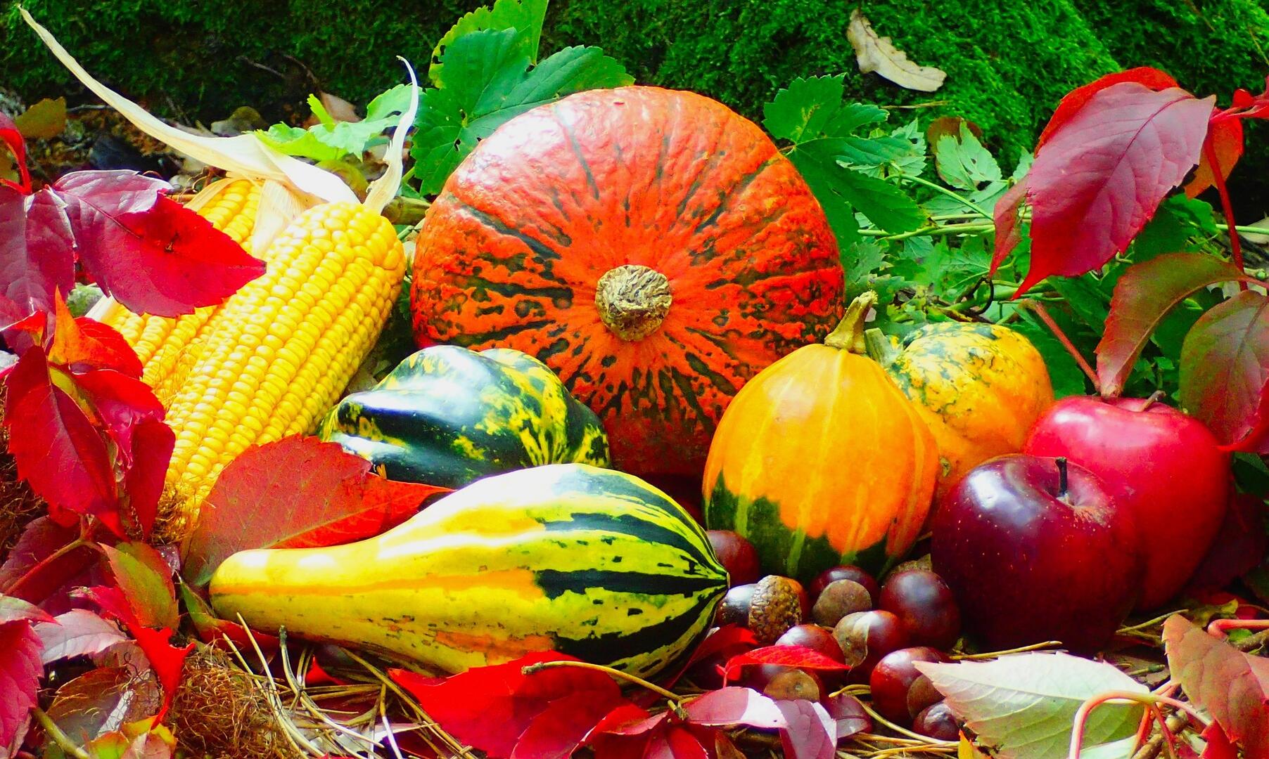 autumn-2851907-1920