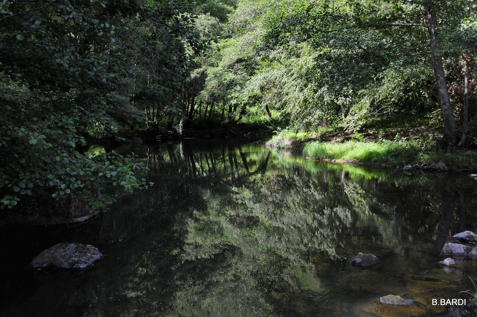 balade nature forêt gorge maronne
