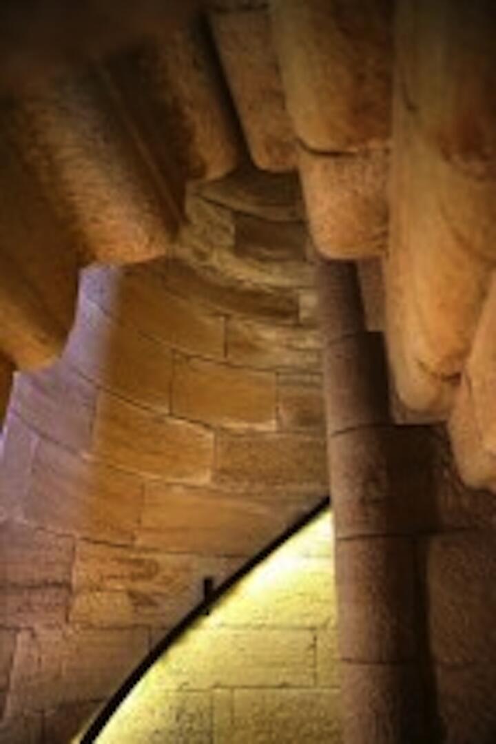 cardaillacmoreltailleurpierre