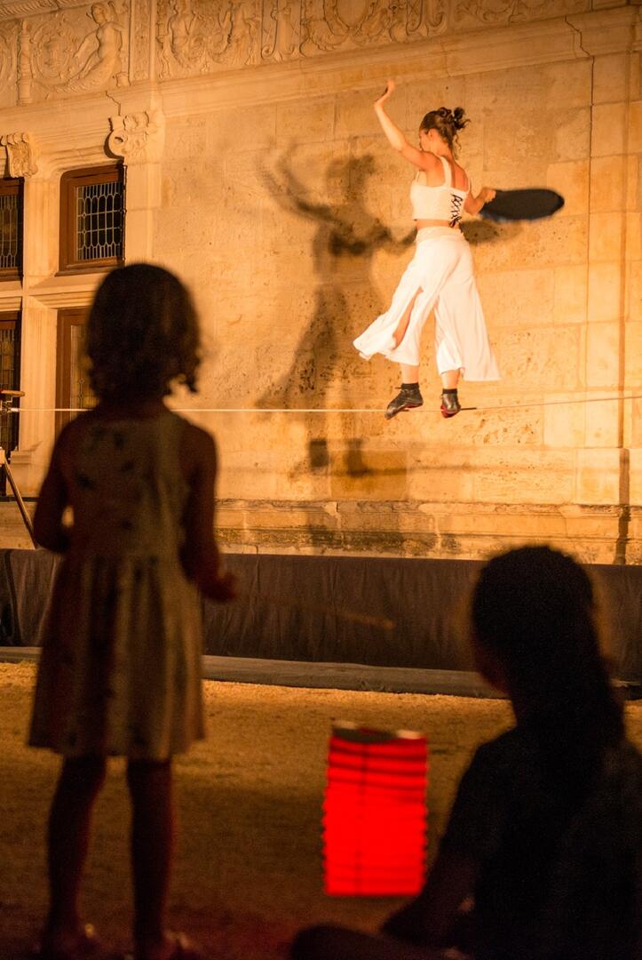 circofolies