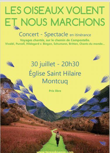 concert-oiseaux-volent-mtq