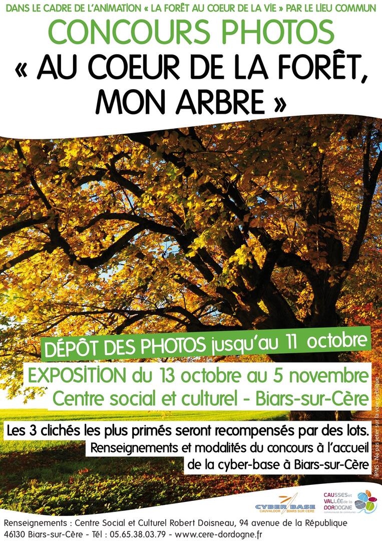 concours-photo-foret