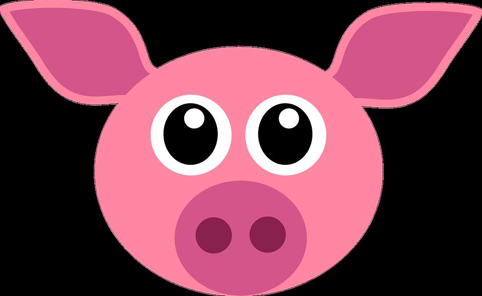 cochon