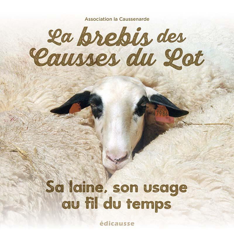 couv livre caussenarde