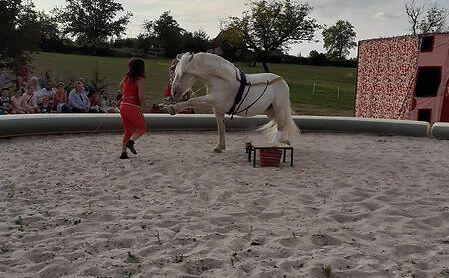 Cirque en selle