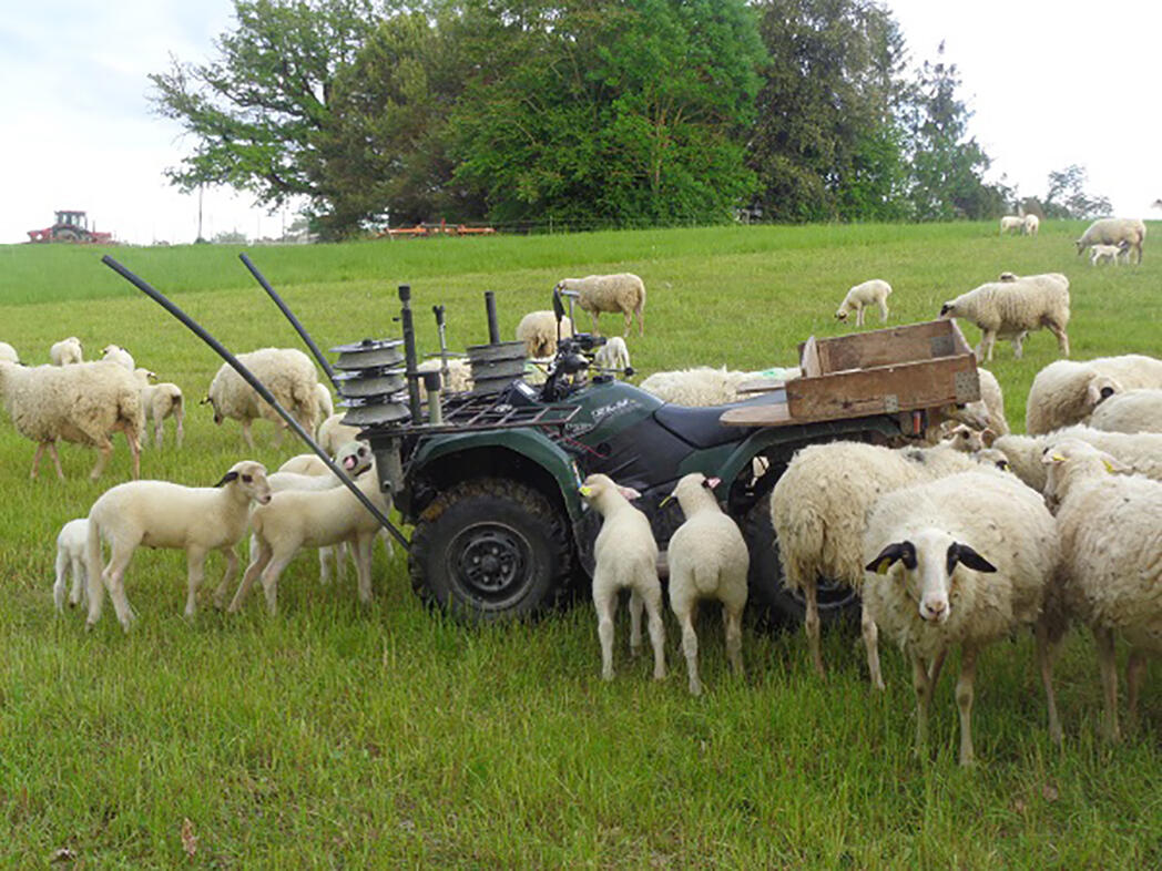 ferme lagarriguette montlauzun 01