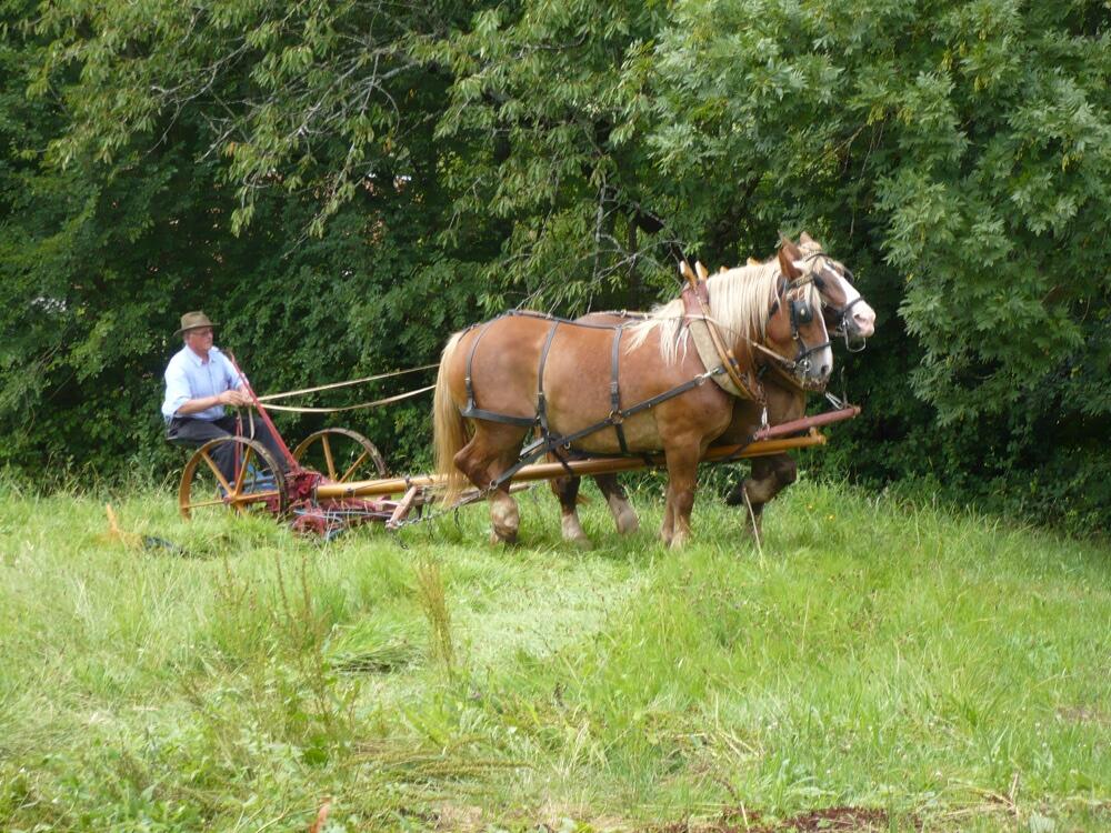 fete des vieux métiers - Lostanges